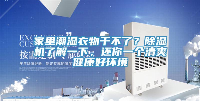 家裏潮濕衣物幹不了？91看片软件大全了解一下，還你一個清爽健康好環境