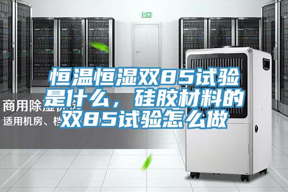 恒溫恒濕雙85試驗是什麽，矽膠材料的雙85試驗怎麽做