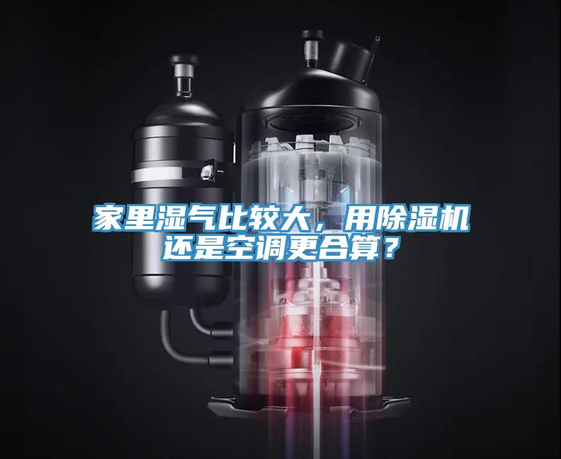 家裏濕氣比較大，用91看片软件大全還是空調更合算？