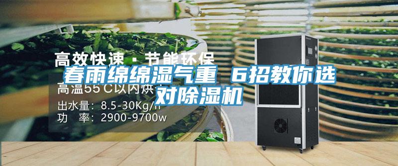 春雨綿綿濕氣重 6招教你選對91看片软件大全