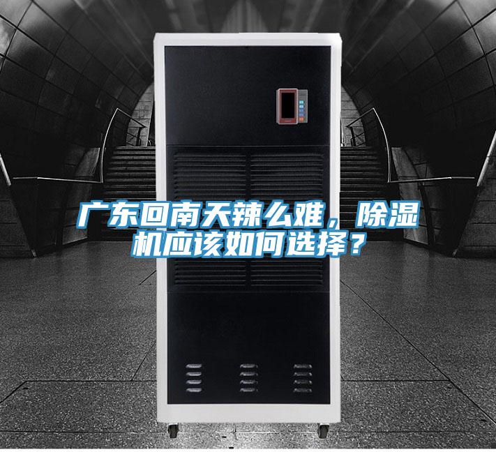 廣東回南天辣麽難，91看片软件大全應該如何選擇？