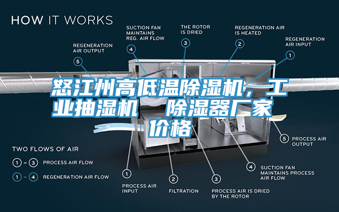 怒江州高低溫91看片软件大全，工業抽濕機  除濕器廠家 價格