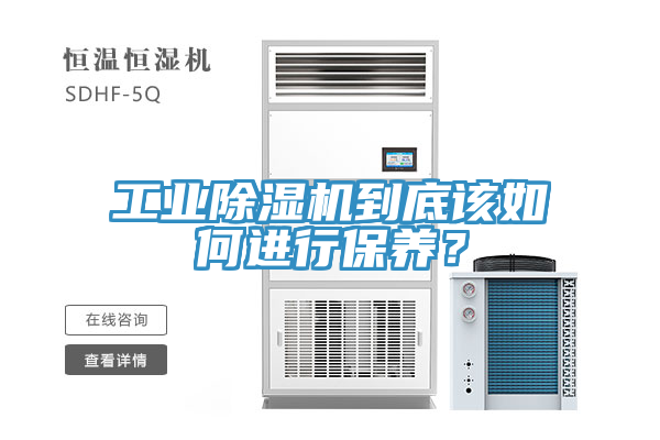 工業91看片软件大全到底該如何進行保養？