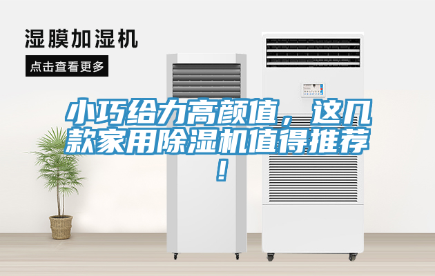 小巧給力高顏值，這幾款家用91看片软件大全值得推薦！