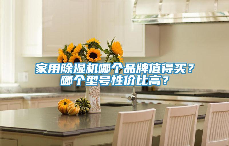 家用91看片软件大全哪個品牌值得買？哪個型號性價比高？