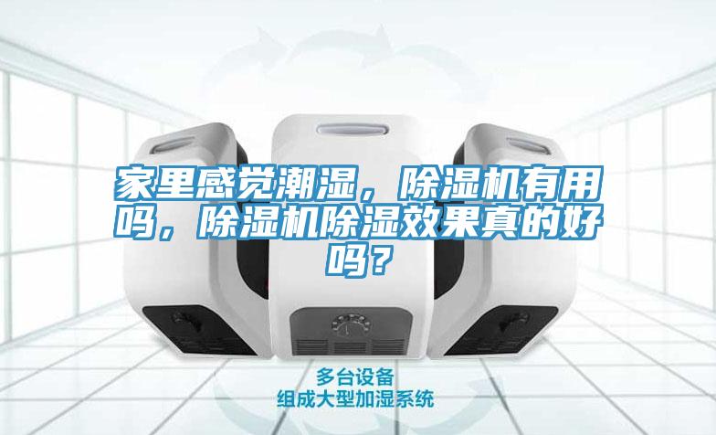 家裏感覺潮濕，91看片软件大全有用嗎，91看片软件大全除濕效果真的好嗎？