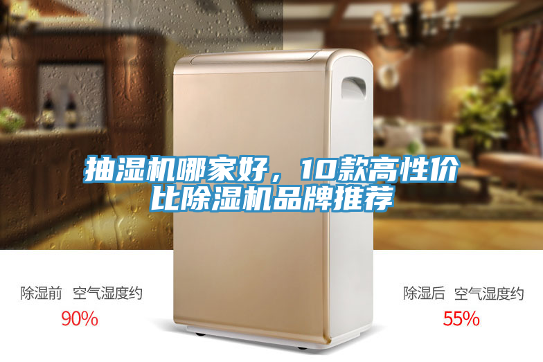抽濕機哪家好，10款高性價比91看片软件大全品牌推薦