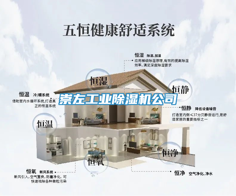 崇左工業91看片软件大全公司