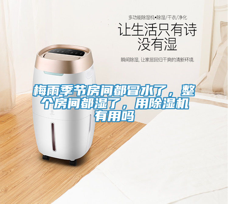 梅雨季節房間都冒水了，整個房間都濕了，用91看片软件大全有用嗎