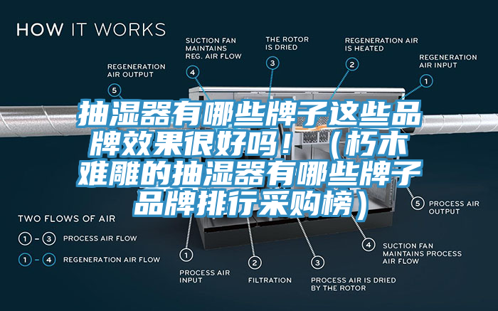 抽濕器有哪些牌子這些品牌效果很好嗎！（朽木難雕的抽濕器有哪些牌子品牌排行采購榜）