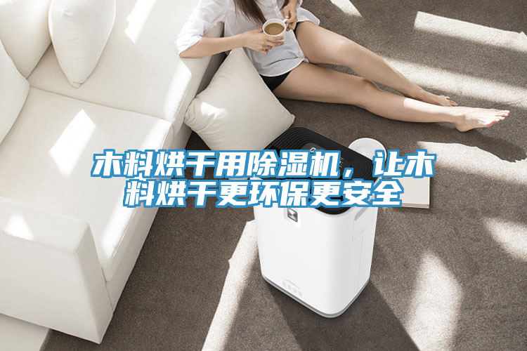 木料烘幹用91看片软件大全，讓木料烘幹更環保更安全