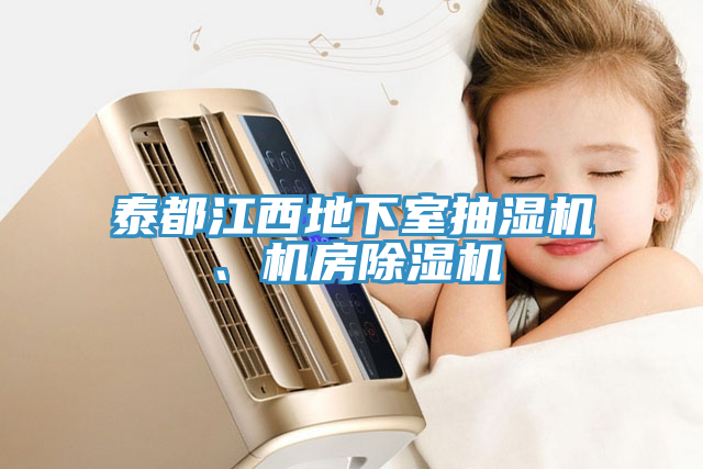 泰都江西地下室抽濕機、機房91看片软件大全
