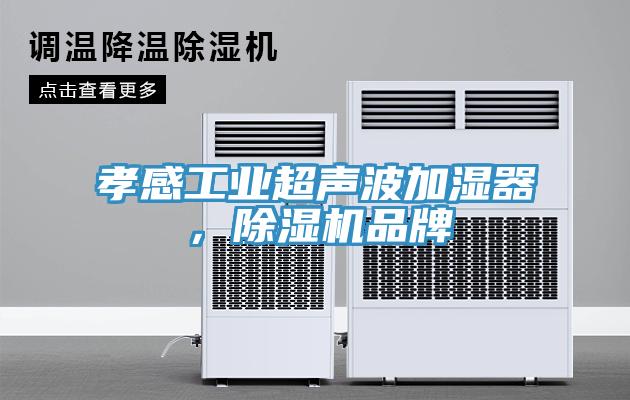 孝感工業超聲波加濕器，91看片软件大全品牌