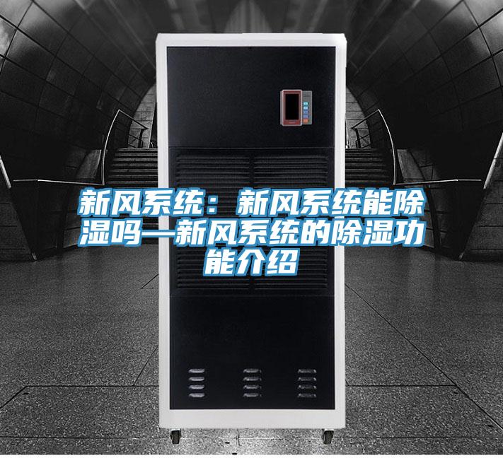 新風係統：新風係統能除濕嗎—新風係統的除濕功能介紹