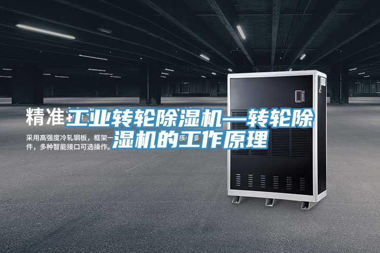 工業轉輪91看片软件大全—轉輪91看片软件大全的工作原理