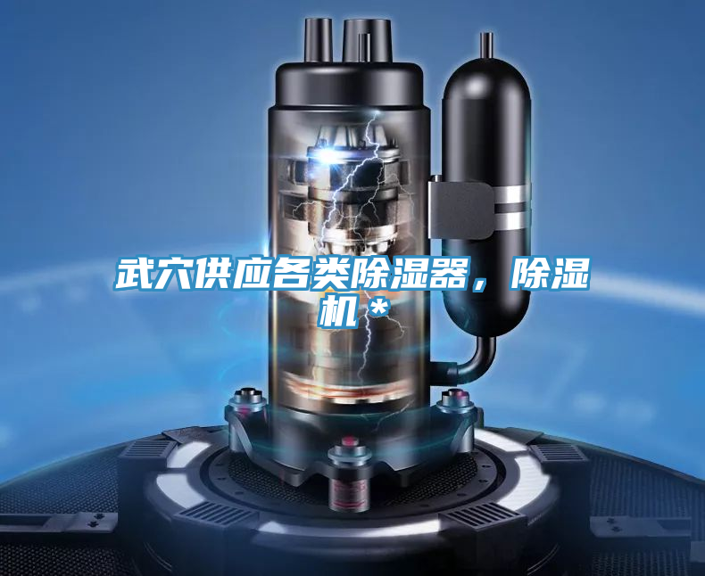武穴供應各類除濕器，91看片软件大全＊