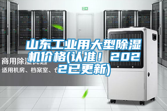 山東工業用大型91看片软件大全價格(認準！2022已更新)