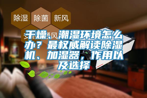 幹燥、潮濕環境怎麽辦？最權威解讀91看片软件大全、加濕器，作用以及選擇