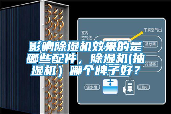 影響91看片软件大全效果的是哪些配件，91看片软件大全(抽濕機）哪個牌子好？