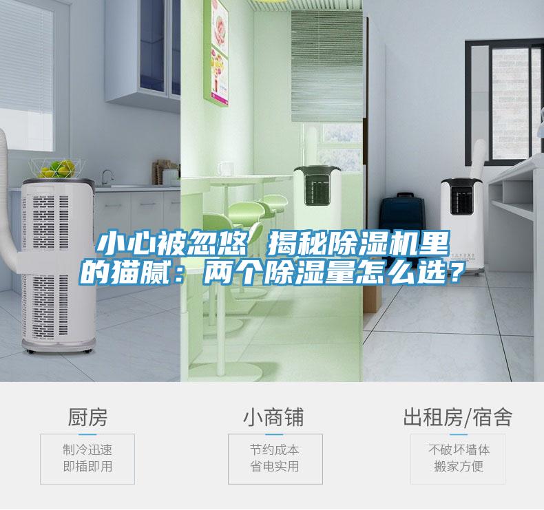 小心被忽悠 揭秘91看片软件大全裏的貓膩：兩個除濕量怎麽選？