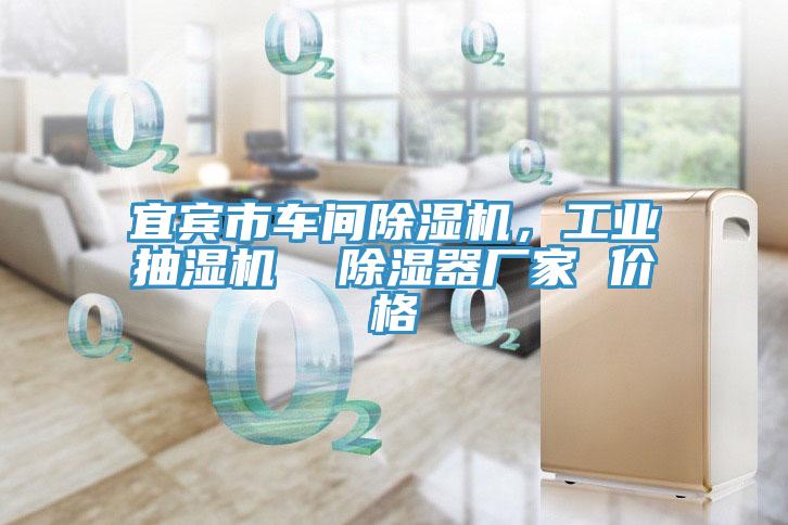 宜賓市車間91看片软件大全，工業抽濕機  除濕器廠家 價格