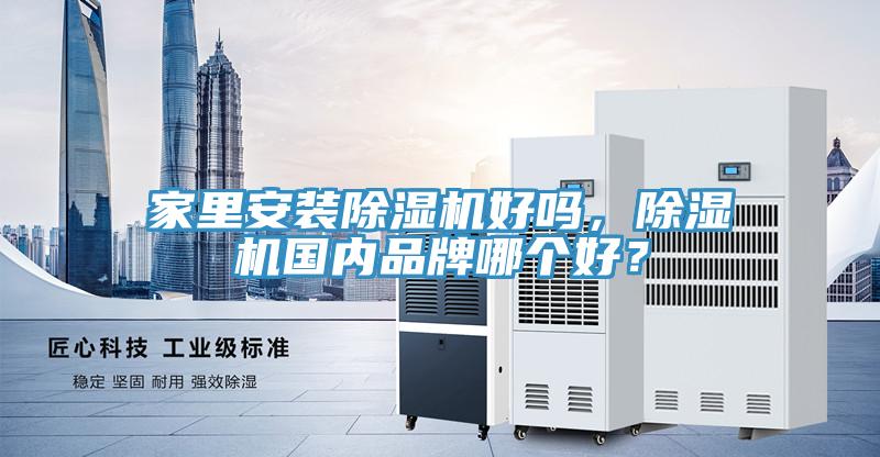 家裏安裝91看片软件大全好嗎，91看片软件大全國內品牌哪個好？