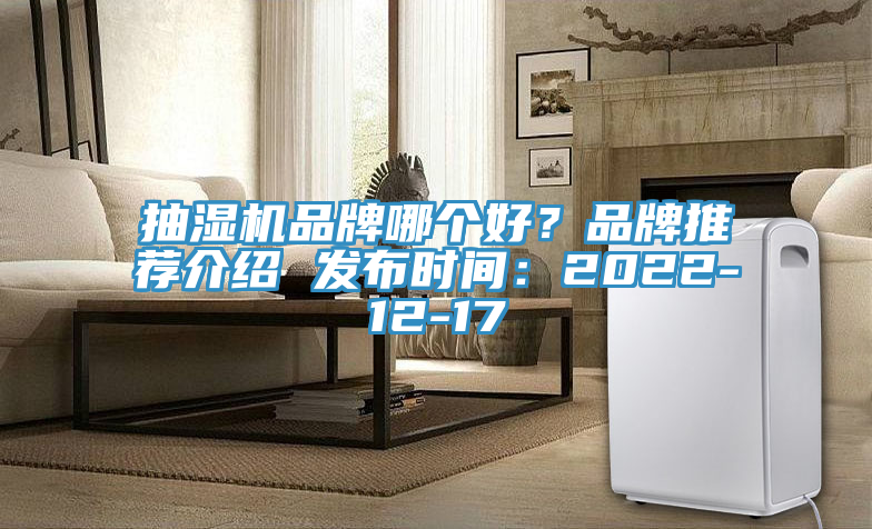 抽濕機品牌哪個好？品牌推薦介紹 發布時間：2022-12-17