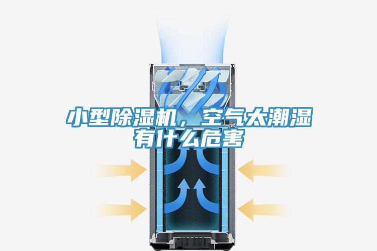小型91看片软件大全，空氣太潮濕有什麽危害