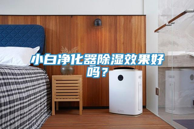 小白淨化器除濕效果好嗎？