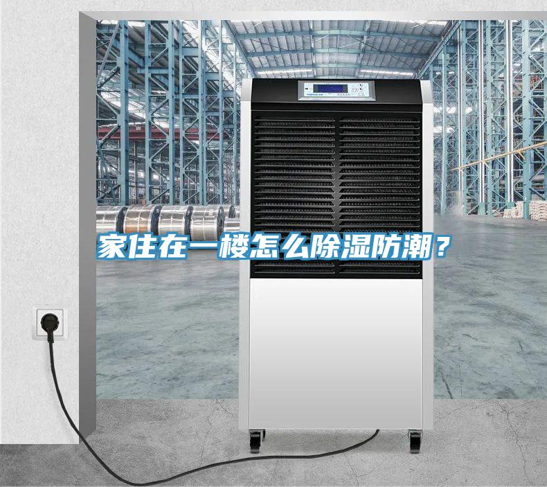 家住在一樓怎麽除濕防潮？