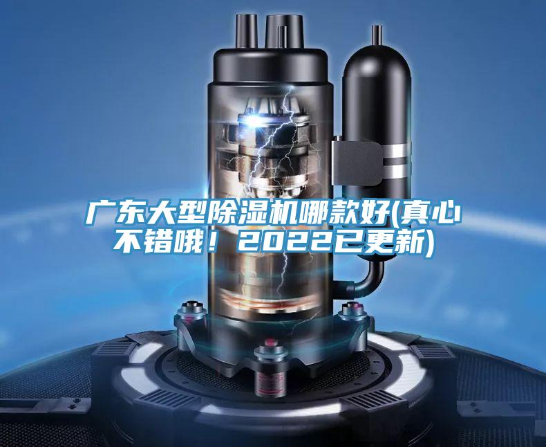 廣東大型91看片软件大全哪款好(真心不錯哦！2022已更新)
