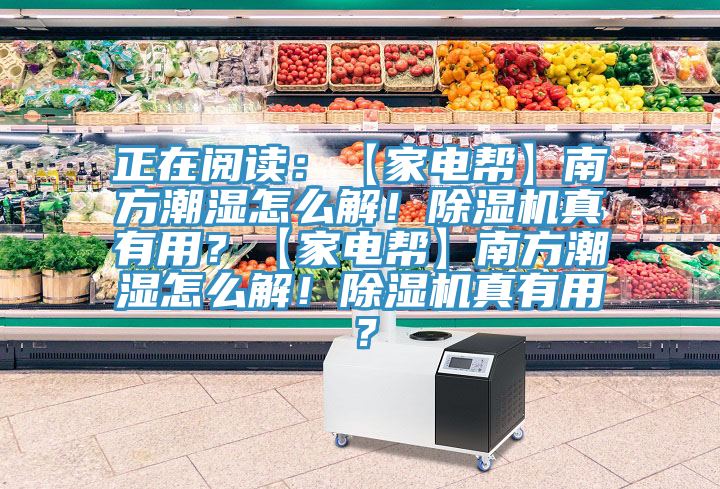正在閱讀：【家電幫】南方潮濕怎麽解！91看片软件大全真有用？【家電幫】南方潮濕怎麽解！91看片软件大全真有用？