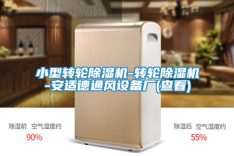 小型轉輪91看片软件大全-轉輪91看片软件大全-安適德通風設備廠(查看)