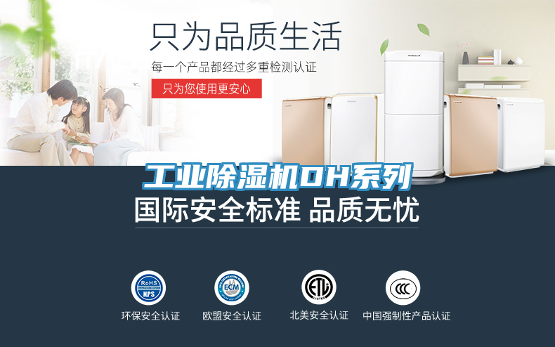 工業91看片软件大全DH係列