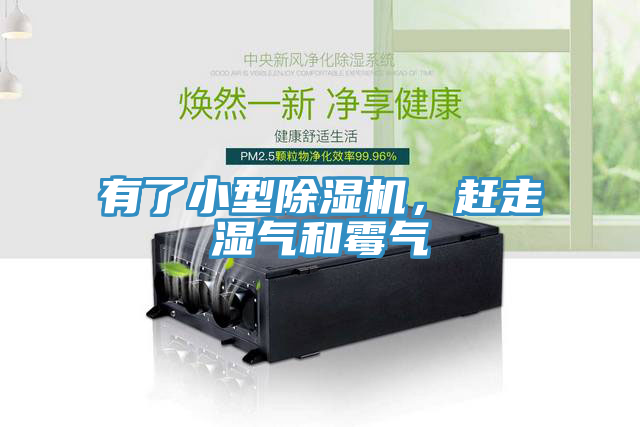 有了小型91看片软件大全，趕走濕氣和黴氣