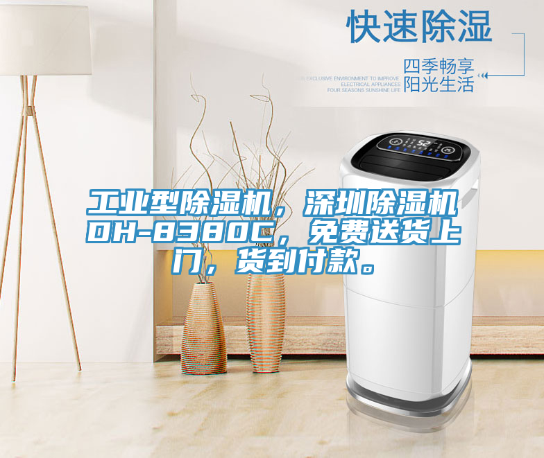 工業型91看片软件大全，深圳91看片软件大全DH-8380C，免費送貨上門，貨到付款。