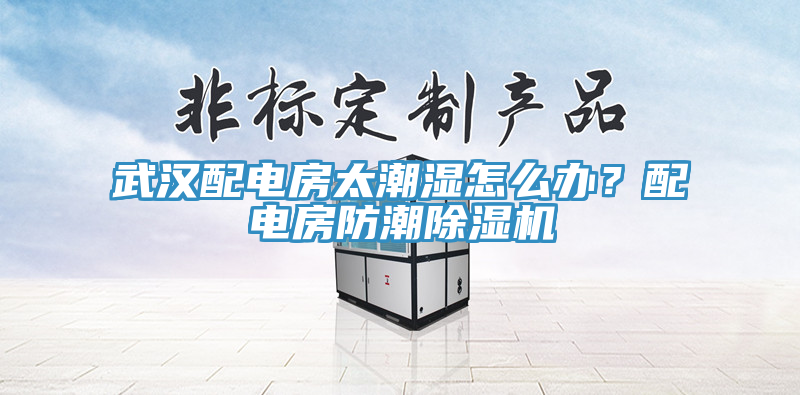 武漢配電房太潮濕怎麽辦？配電房防潮91看片软件大全