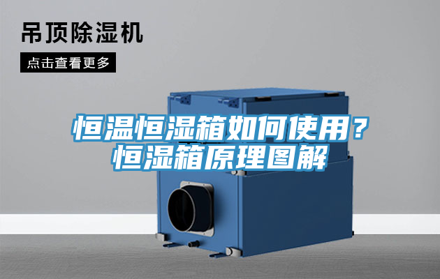 恒溫恒濕箱如何使用？恒濕箱原理圖解