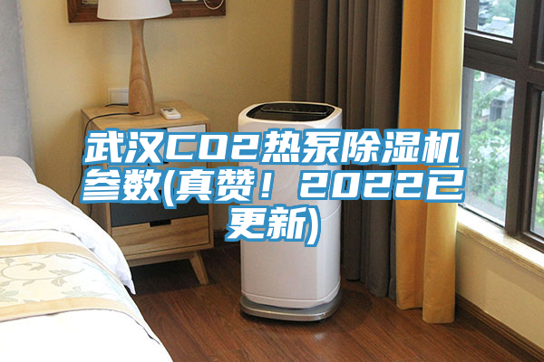 武漢CO2熱泵91看片软件大全參數(真讚！2022已更新)
