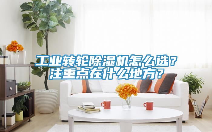 工業轉輪91看片软件大全怎麽選？注重點在什麽地方？