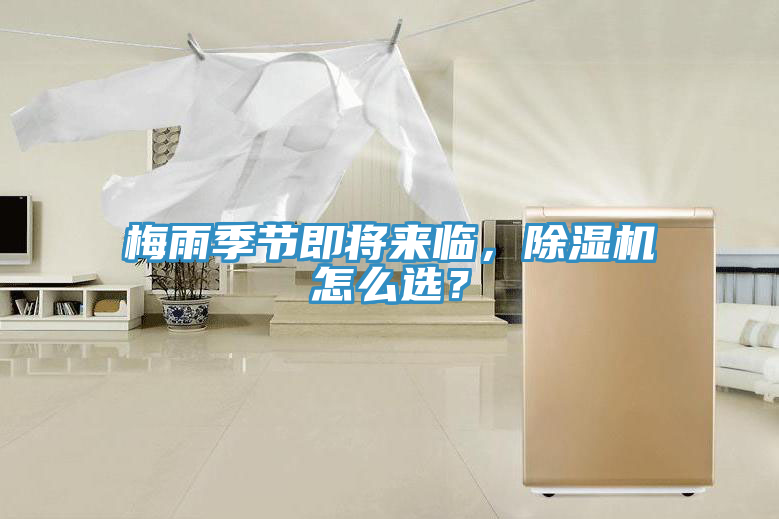 梅雨季節即將來臨，91看片软件大全怎麽選？