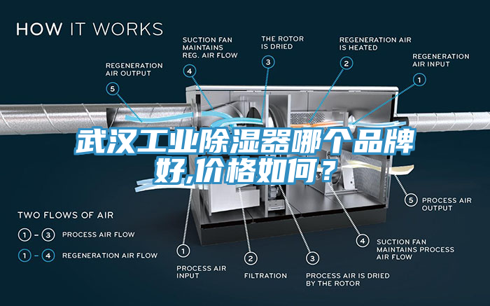 武漢工業除濕器哪個品牌好,價格如何？