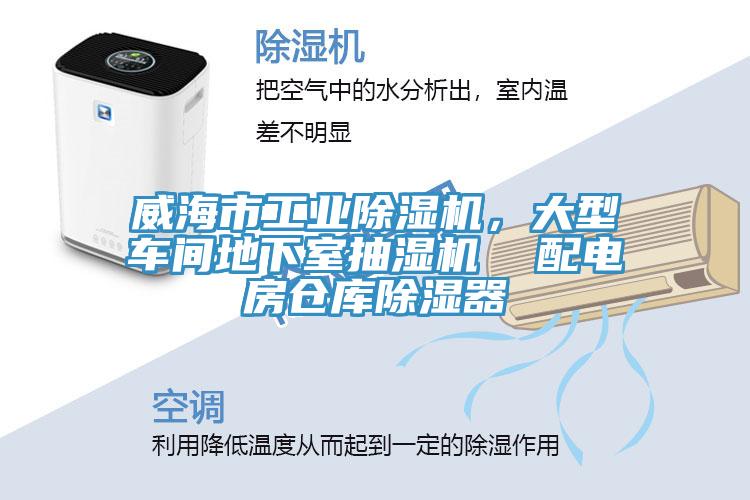 威海市工業91看片软件大全，大型車間地下室抽濕機  配電房倉庫除濕器