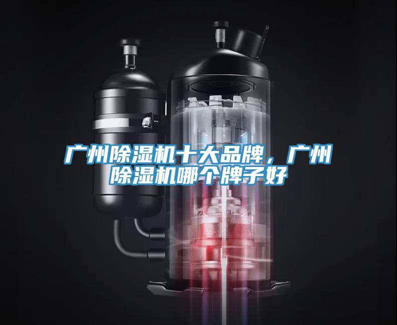 廣州91看片软件大全十大品牌，廣州91看片软件大全哪個牌子好