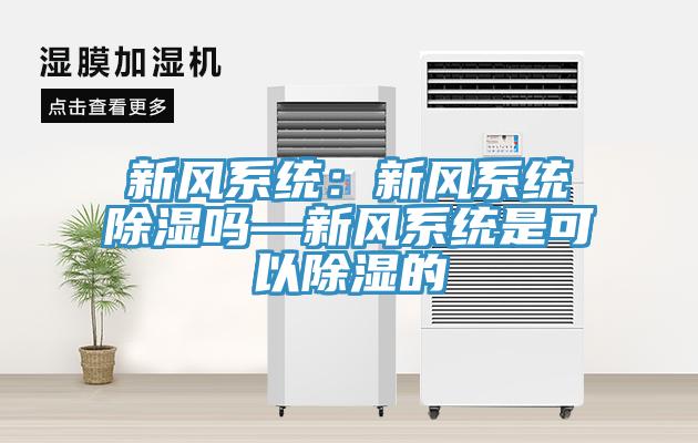新風係統：新風係統除濕嗎—新風係統是可以除濕的