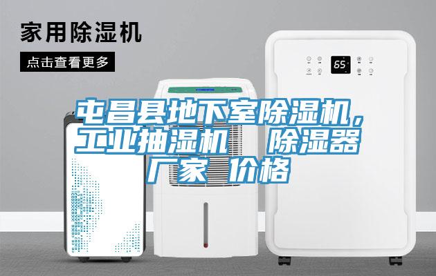 屯昌縣地下室91看片软件大全，工業抽濕機  除濕器廠家 價格
