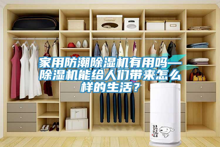 家用防潮91看片软件大全有用嗎—91看片软件大全能給人們帶來怎麽樣的生活？