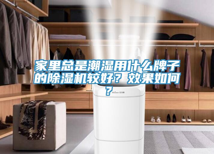 家裏總是潮濕用什麽牌子的91看片软件大全較好？效果如何？