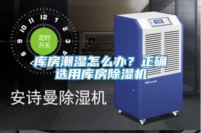 庫房潮濕怎麽辦？正確選用庫房91看片软件大全
