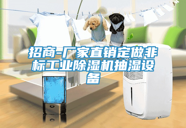 招商-廠家直銷定做非標工業91看片软件大全抽濕設備